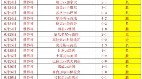 开云官网 093105